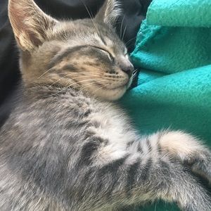 Meet your Posher, Erica